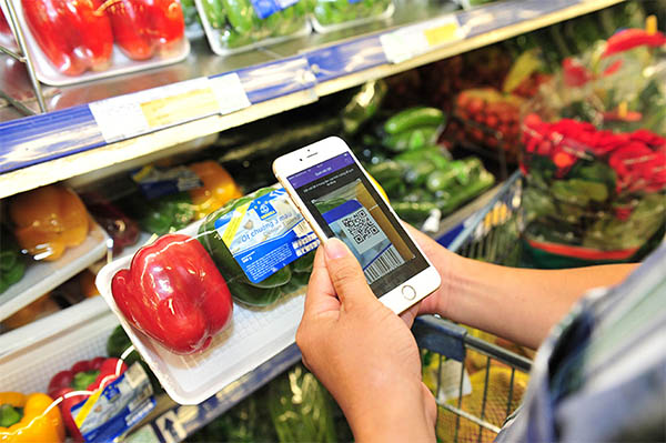 QR Code Origin Retrieval – A New Direction for Clean Food