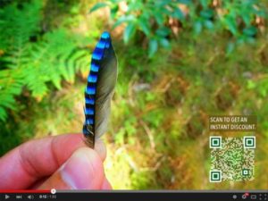 tạo mã Qr code cho video