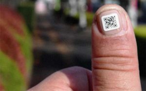 xtheo dõi bệnh nhân bằng mã Qr