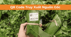 tem truy xuất nguồn gốc