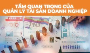 Tầm Quan Trọng Của Việc Quản Lý Tài Sản Trong Doanh Nghiệ